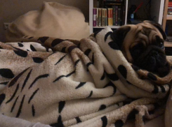 Мороз до -10ºС пришел в Волгоградскую область