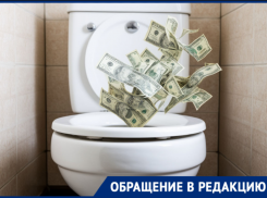 Прочистка унитаза за 24 тысячи вынудила волгоградку обратиться в полицию