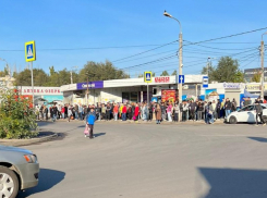 183 млн рублей решили спустить на дачные автобусы в Волгограде