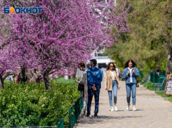  Кратковременные дожди и ветрено: погода на День Победы в Волгограде