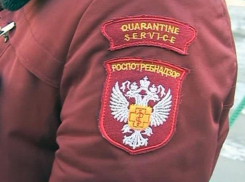 Роспотребнадзор предупредил волгоградцев о новом виде мошенничества