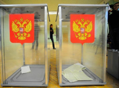 Волгоградские роженицы и подследственные проголосуют на выборах президента в особом режиме