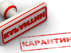 В двух районах Волгограда снят карантин по бешенству