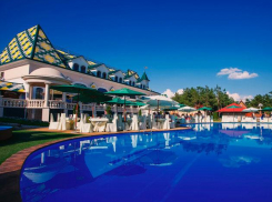 Волгоградцев призвали не быть судьями и палачами для «Соснового бора»