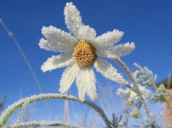 На Волгоград надвигаются заморозки до -2 градусов