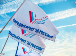 ОНФ признал нарушения прав журналистов в Волгоградской области