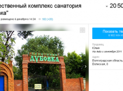 Под Волгоградом с молотка уходит санаторий «Дубовка»