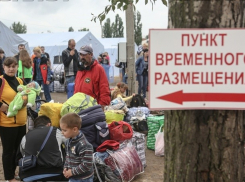 В 2015 году из Украины в Волгоград прибыли 30 тысяч беженцев