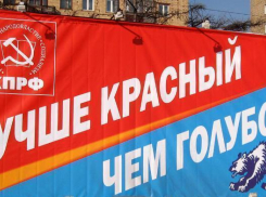 В поселке под Волгоградом гадают, какой ориентации их будущий спикер