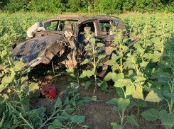 Двух выживших в ДТП с разорвавшейся иномаркой эвакуировали в Волгоград