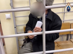 Кошмаривший школьниц несколько лет педофил взят под стражу под Волгоградом: видео