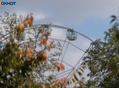 Первый иней, туман и ночные морозы напомнят волгоградцам о близкой зиме