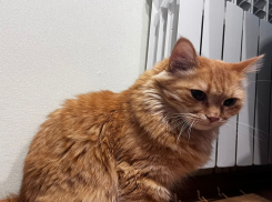 Шок-квитанции начали рассылать замерзающим волгоградцам