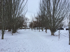 Перепадами температур от +4ºС до -11ºС испытывает весна волгоградцев