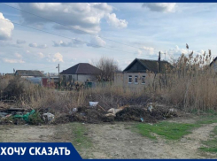 Жители частного сектора Дар-гора в Волгограде требуют убрать мусор, из-за которого завелись крысы 