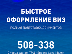 Волгоградцам предлагают сделать срочные визы 