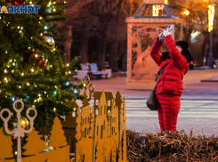 Половина волгоградцев встречают Новый год без настроения