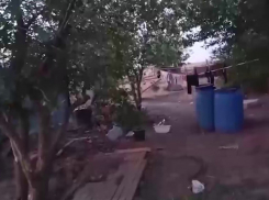 Мигранты поселились в шалашах под Волгоградом