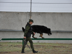 Волгоградские пограничники отмечают 110 лет со дня рождения легендарного Никиты Карацупы