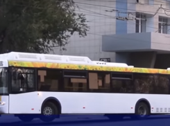 «Питеравто» ответит в суде за кондуктора, выгнавшего из автобуса ветерана Великой Отечественной войны ﻿