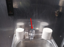 Говорите, миллионы тратят: волгоградку шокировал общественный туалет в центре