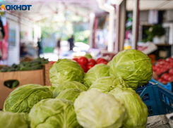 В Волгоградской области в 2 раза подешевела капуста и рухнули цены на помидоры
