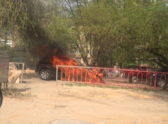 Audi сгорела дотла на западе Волгограда 