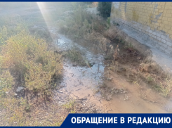 Волгоградцы боятся обрушения аварийного дома из-за прорыва трубы: концессии игнорируют их пятые сутки 