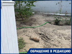 «Боимся взорваться»: боевой снаряд неделю ждет разминирования в Волгограде