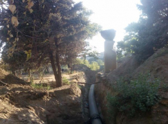 Волгоградцы ругают власть за вырубку сквера на Предмостной площади