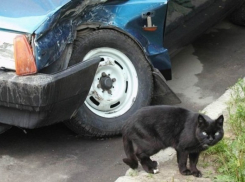 Если черный кот дорогу перейдет: «десятка» съехала в кювет и врезалась в фонарный столб на трассе в Волгоградской области