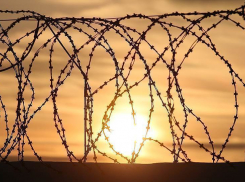 В Волгограде заключенный хвастался тату со свастикой сокамерникам