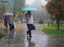 Пасмурно и дождь: синоптики о погоде на 1 ноября в Волгограде