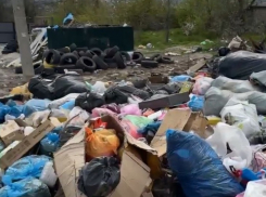 Жгли, ломали и убивали: подарок сделали озверевшим волгоградцам