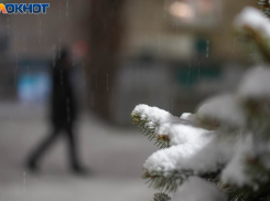 До 17 градусов потеплеет в Волгограде: прогноз погоды на март