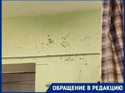 Плесень захватила детскую поликлинику в Волгограде: видео