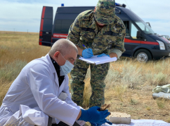В Волгограде приступили к эксгумации останков зверски убитых фашистами детей и взрослых
