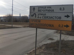 Указатель с грубой ошибкой в фамилии известного биолога установили в Волгограде