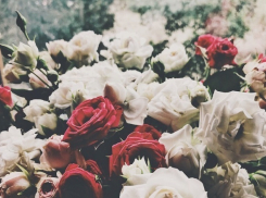 Всемирный день здоровья волгоградцы встретят с дождем и +14