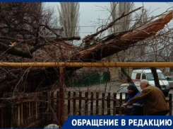 Тополя рухнули на газовую трубу и линию электропередач в Волгограде
