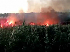 Пожар в Советском районе Волгограда попал на видео