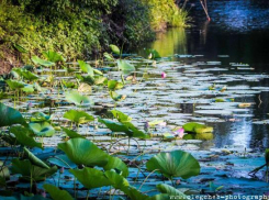 В Волгоград пришел дождь