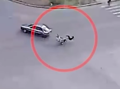 Дети на мопеде влетели в Audi в Волжском: шок-видео