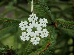 Волгоградцам предложили новогодние елки в аренду