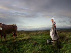 Под Волгоградом ревнивая доярка напала с ножом на сожителя