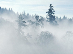 В пяти районах Волгоградской области объявлено штормовое сообщение 