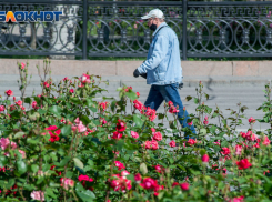 Похолодание до +10 объявлено в Волгоградской области