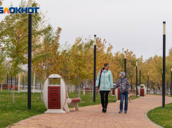 6 ноября волгоградцы снова насладятся теплой и комфортной погодой