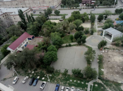 Власти снова хотят погреть руки на зеленом строительстве, - волгоградский эколог о вырубке очередного парка