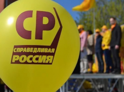 Тезка «Саши Белого» выдвинут эсерами  Волгограда в областную Думу 